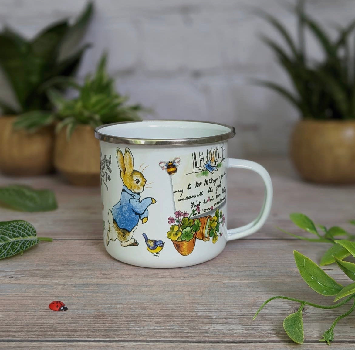 Beatrix Potter's Peter Rabbit Enamel Mug