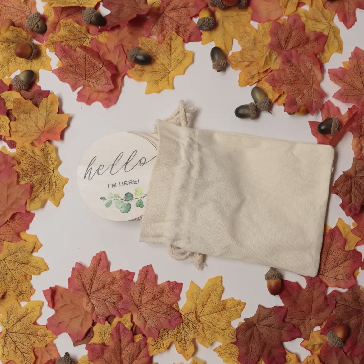 La Romi Botanical Milestone Discs