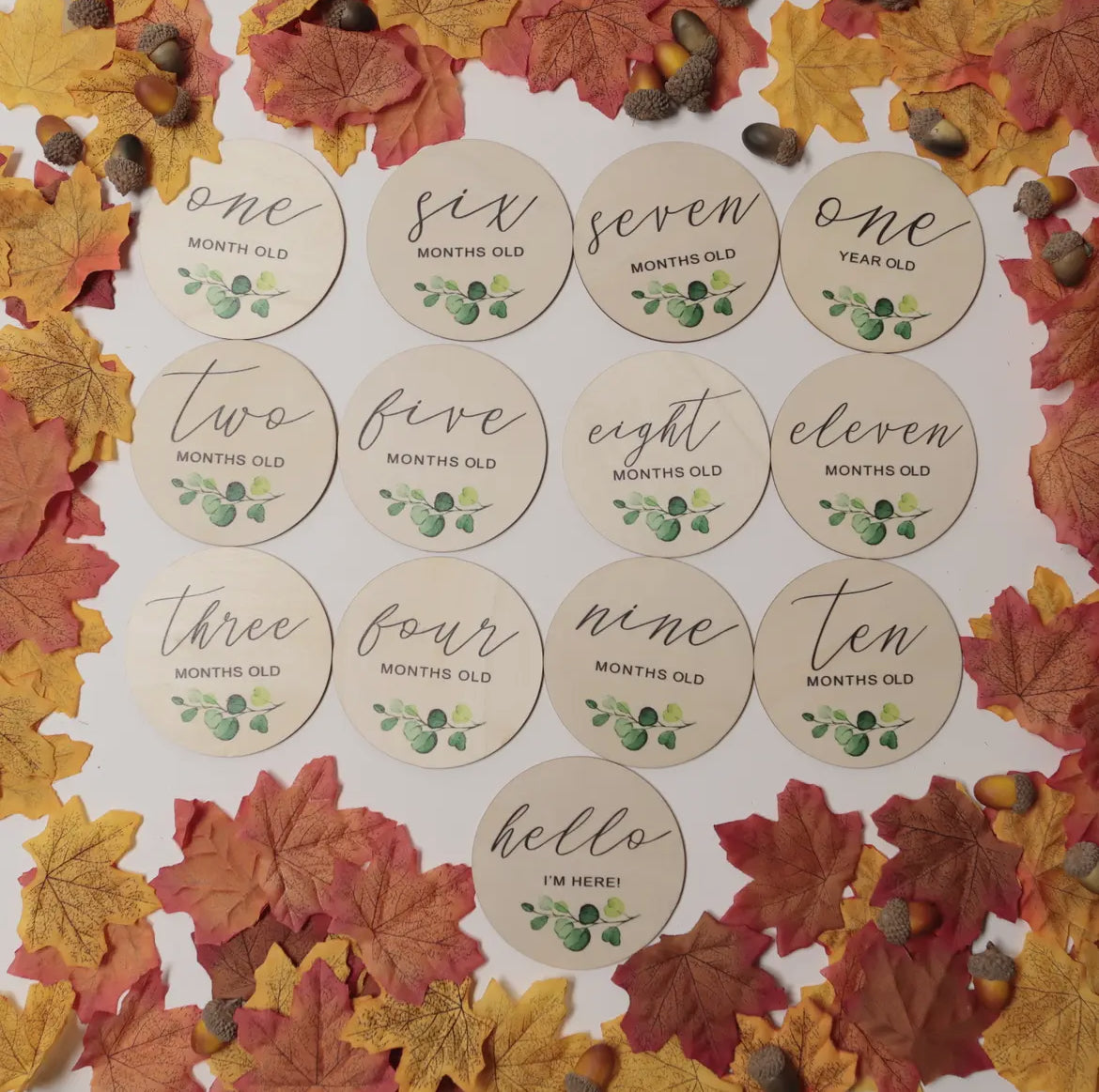 La Romi Botanical Milestone Discs