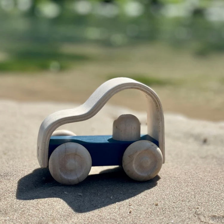 Plan Toys Vroom Truck