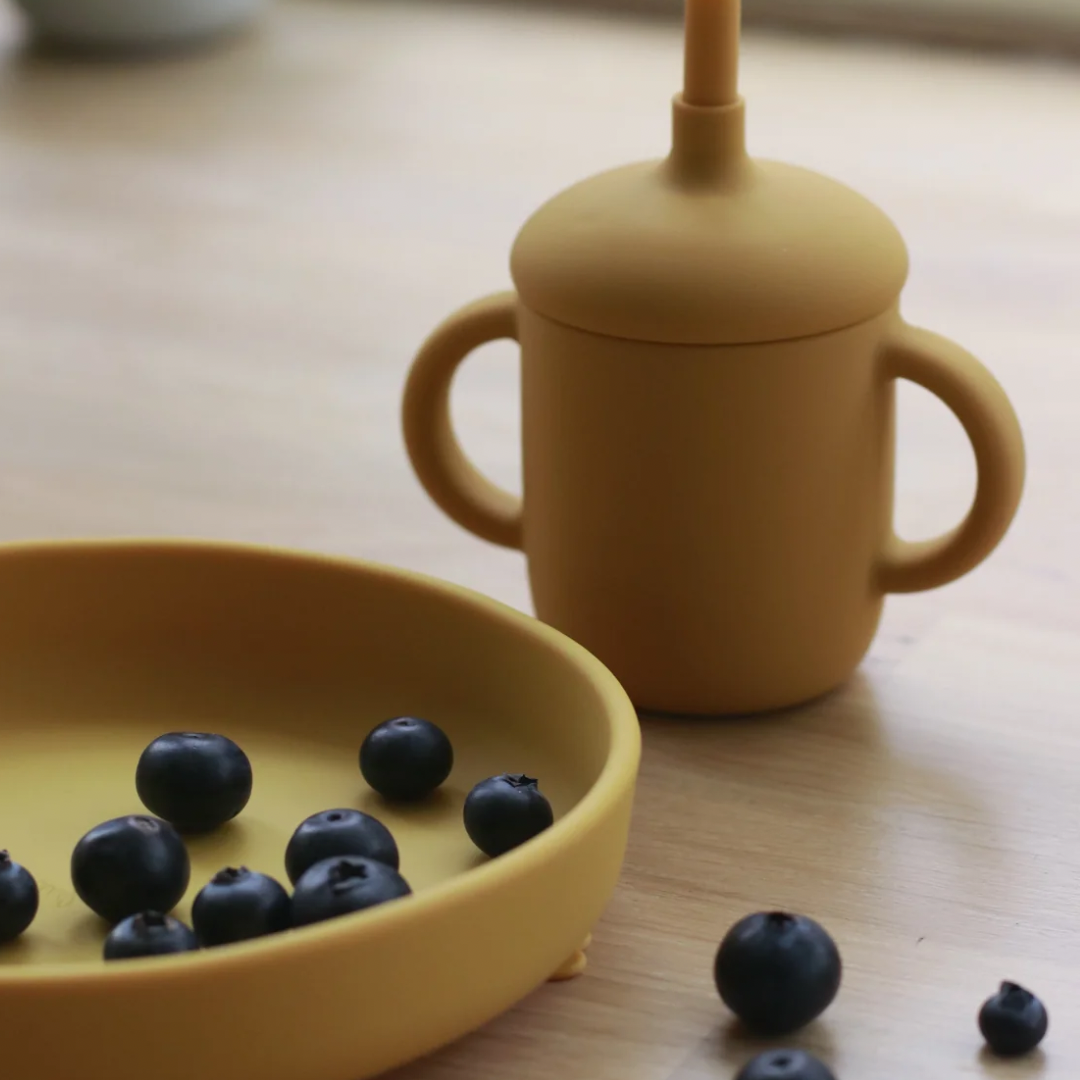 La Romi Suction Plate