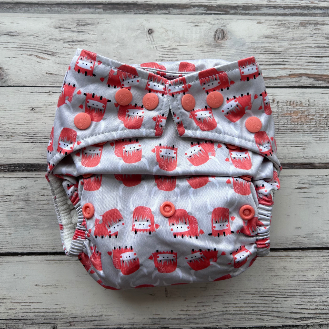 Preloved Baba & Boo Pocket Nappy with Inserts