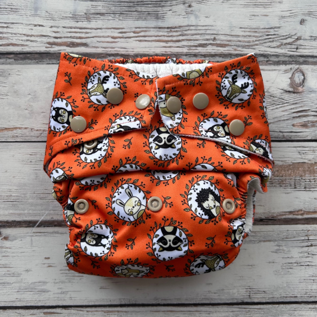 Preloved Baba & Boo Pocket Nappy with Inserts