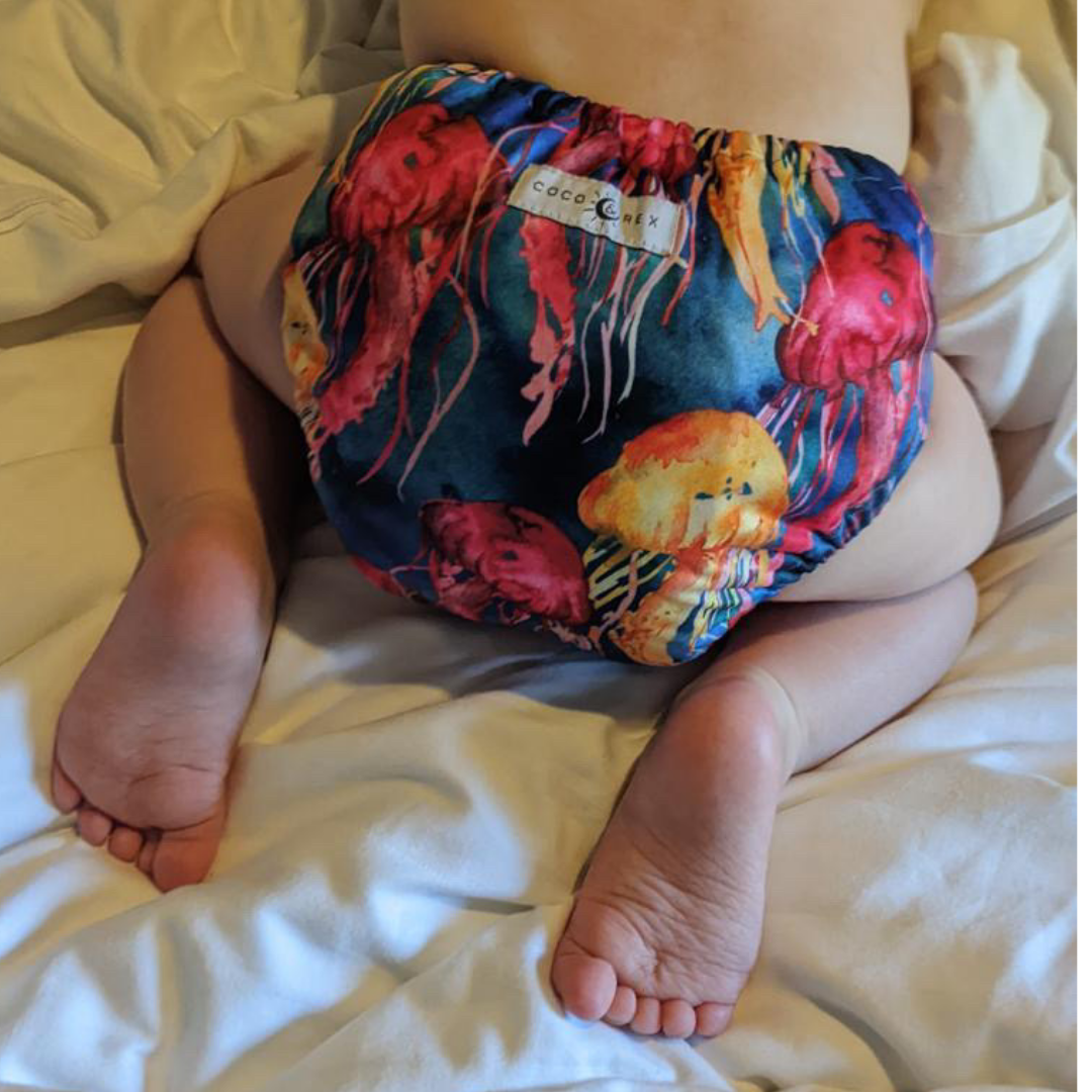 Coco & Rex Pocket Nappy