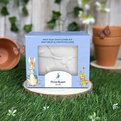 Peter Rabbit - Paint Your Own Plant Pot