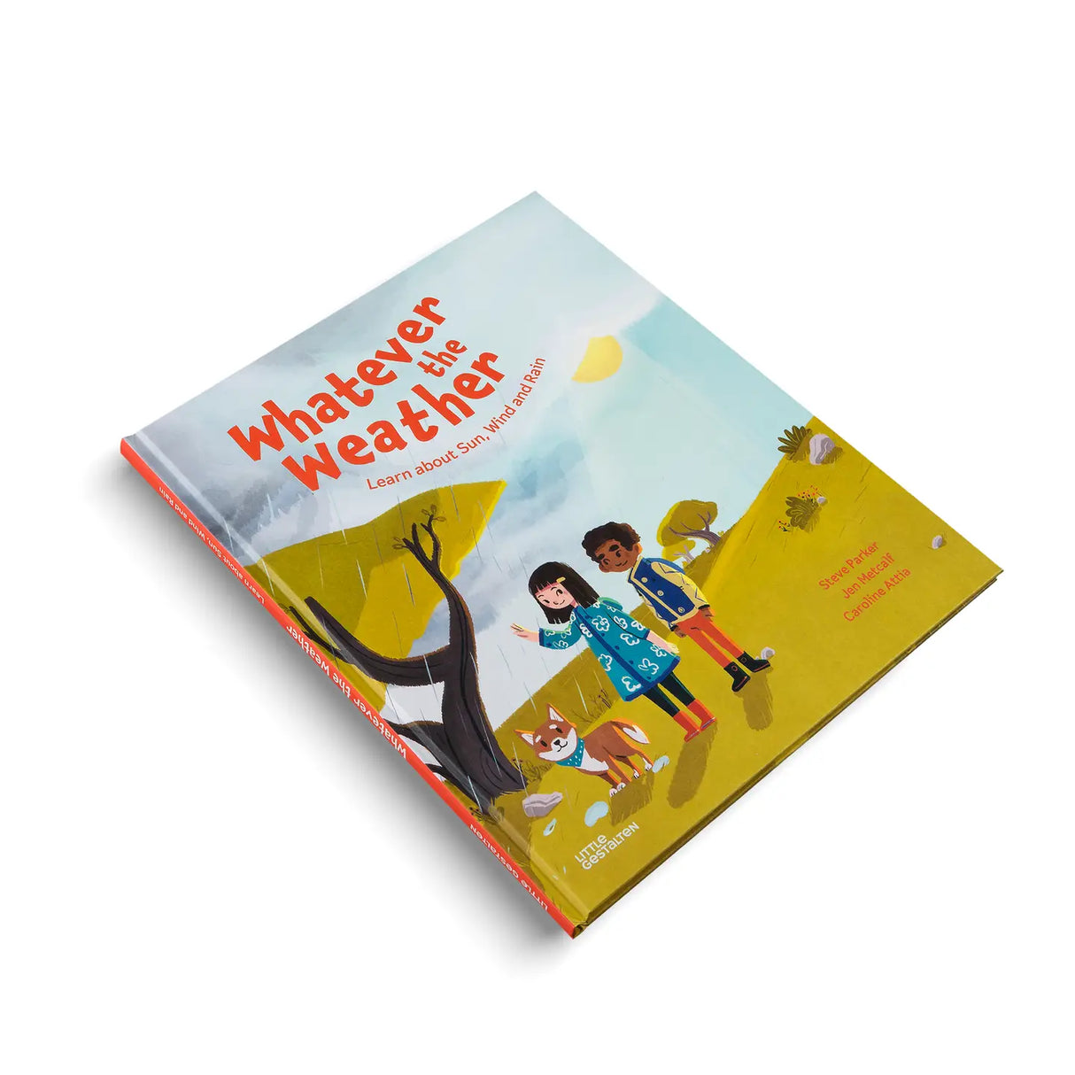 Whatever The Weather