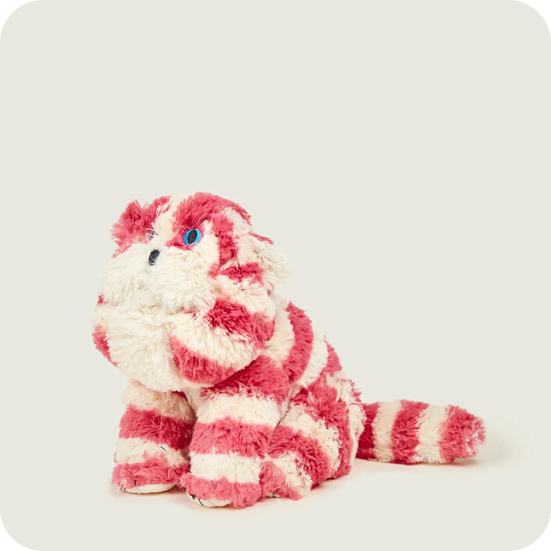 Warmies® Bagpuss® Cat