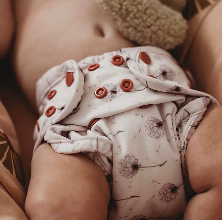 Cherrybottoms All in One Nappy