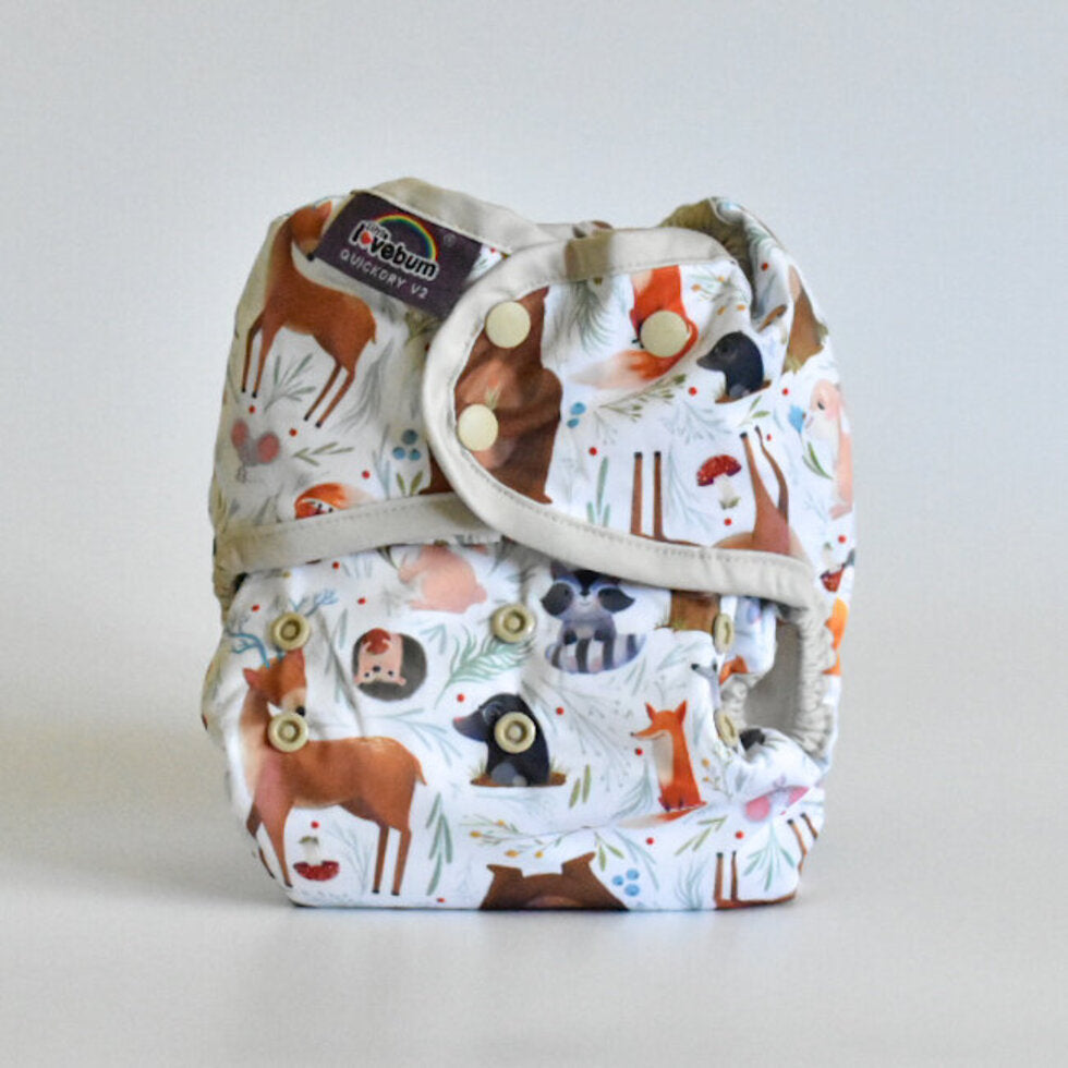 Little Lovebum Quickdry All In One Nappy