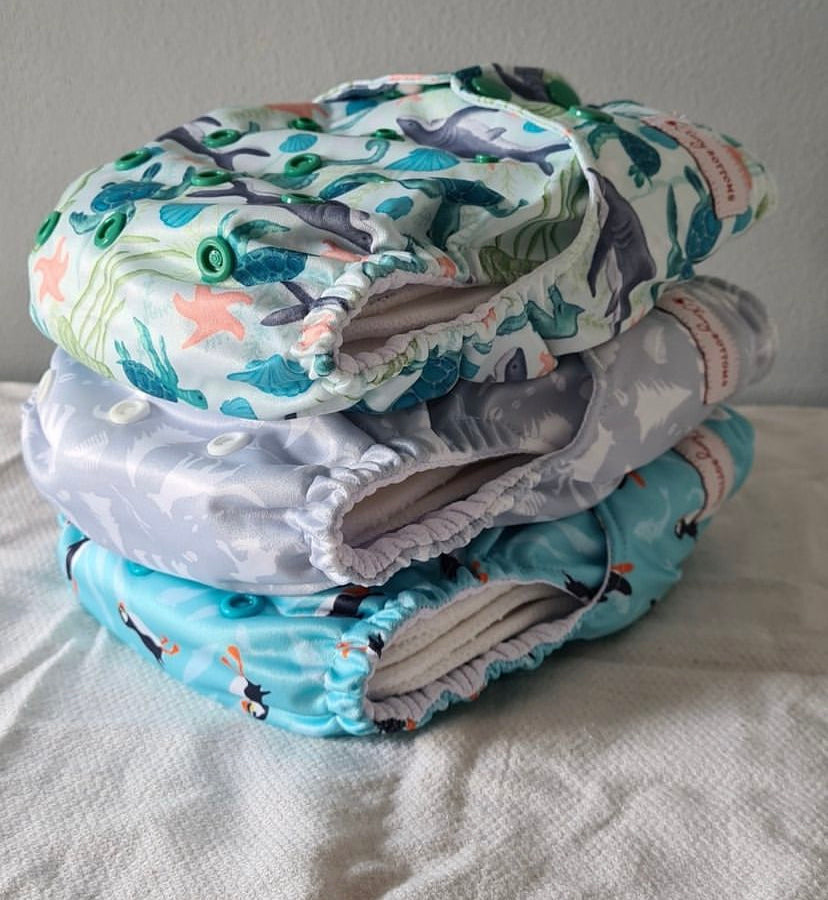 Cherrybottoms Pocket Nappy