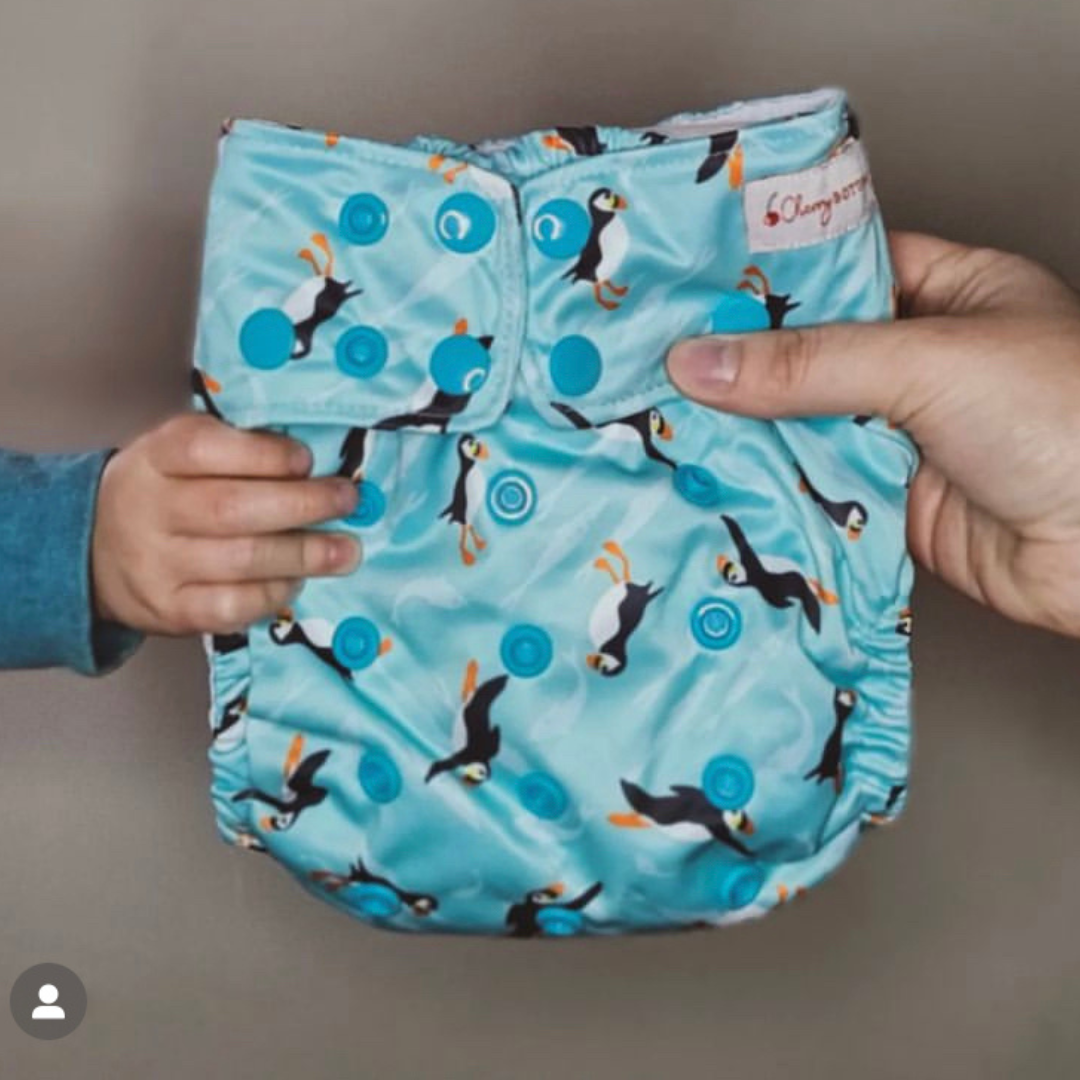 Cherrybottoms Pocket Nappy