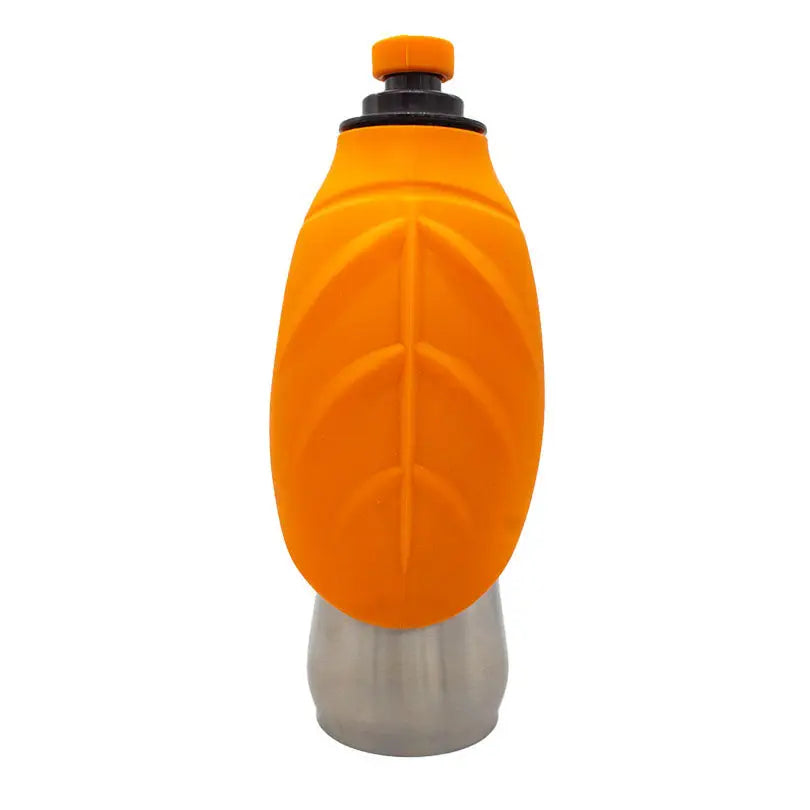 Dog Water Bottle