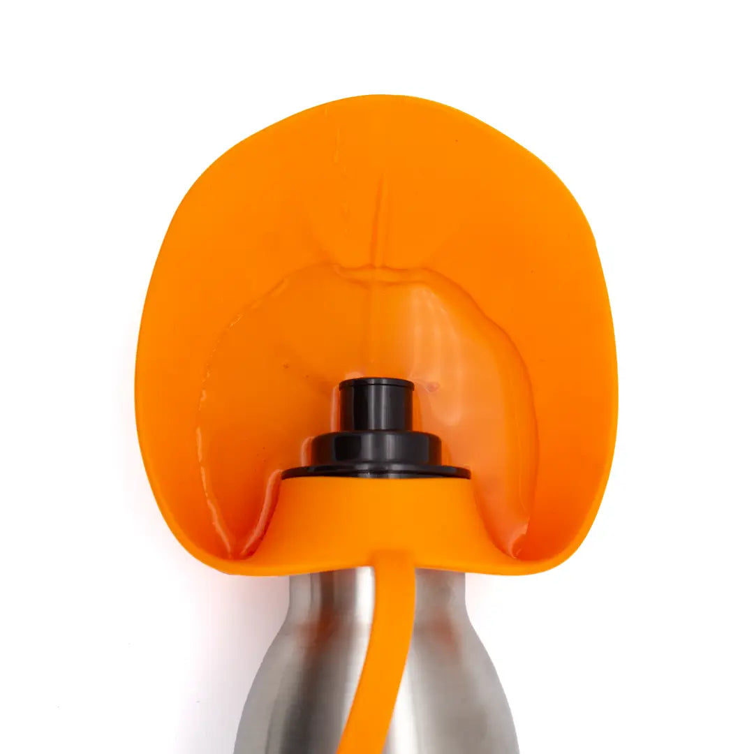 Dog Water Bottle