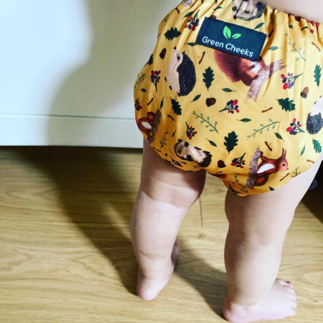 Green Cheeks Pocket Nappy with Hemp Insert