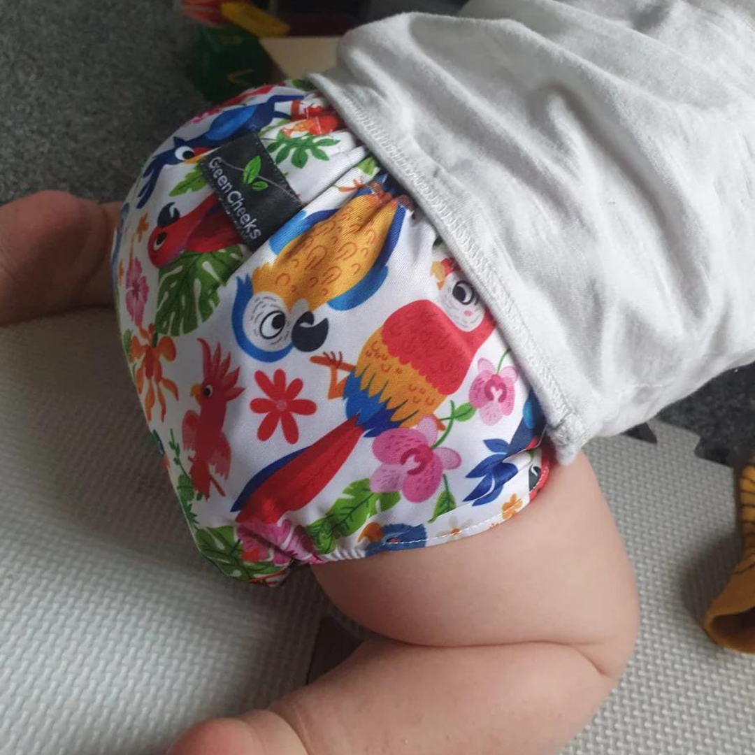 Green Cheeks Pocket Nappy with Hemp Insert