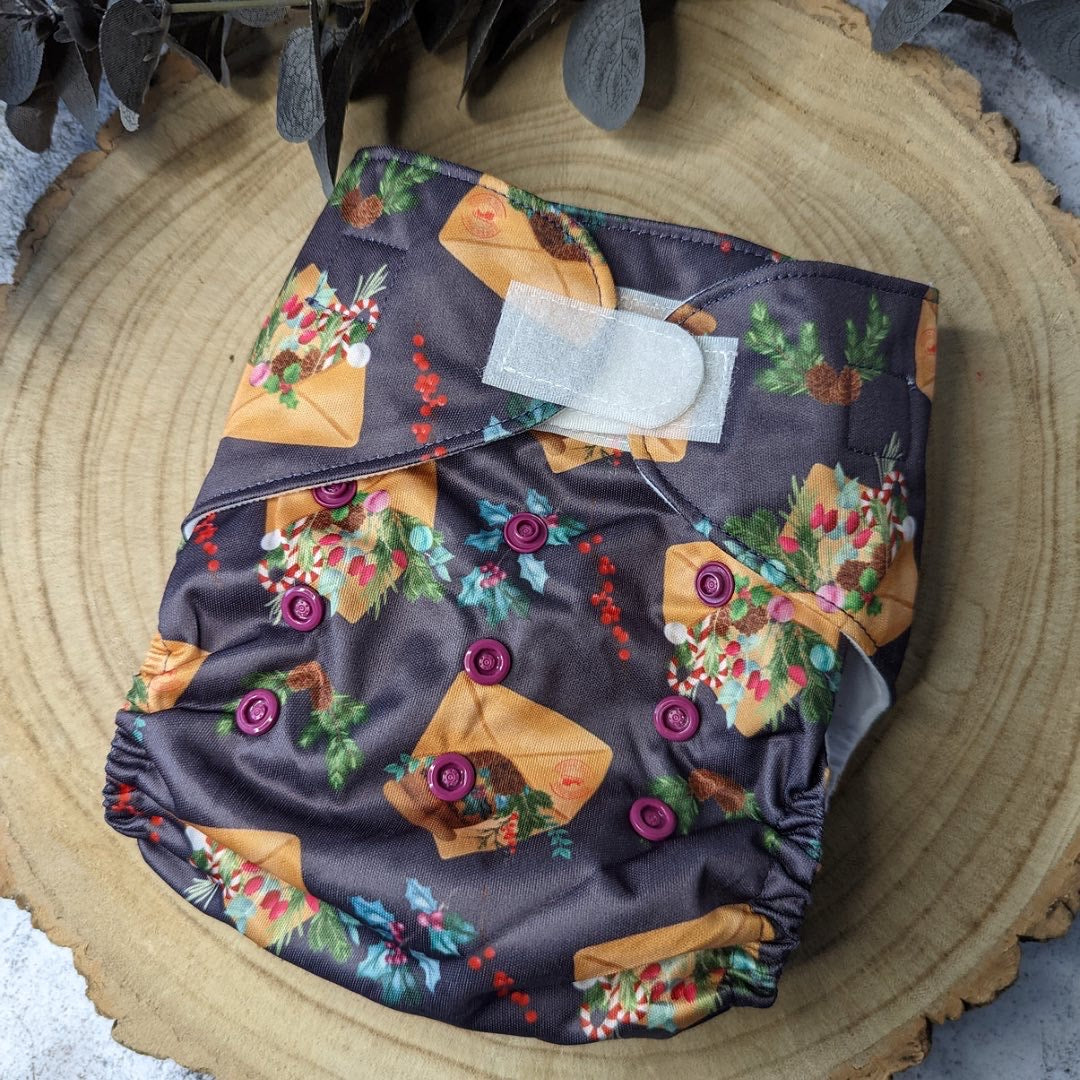 Green Cheeks Pocket Nappy with Hemp Insert