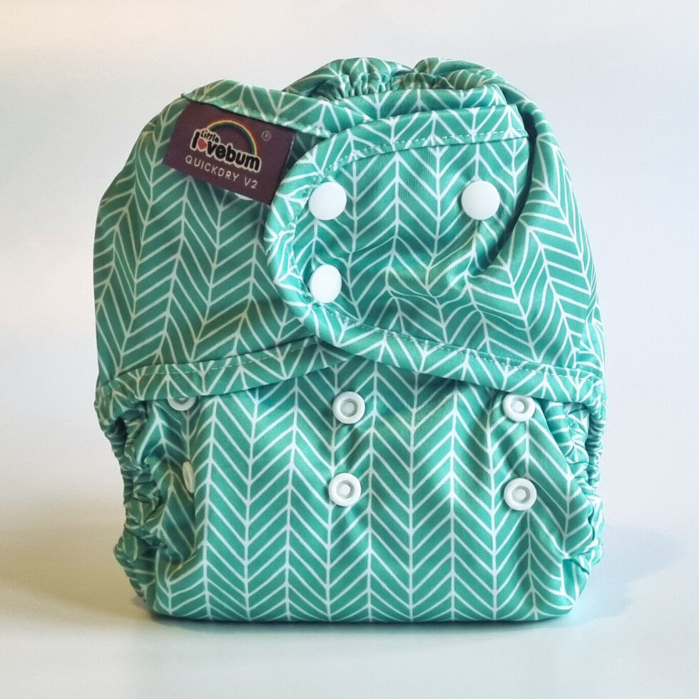 Little Lovebum Everyday All In One Nappy