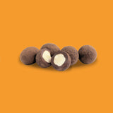 The Raw Chocolate Company Dark Chocolate Salted Hazelnuts BBD 09/26