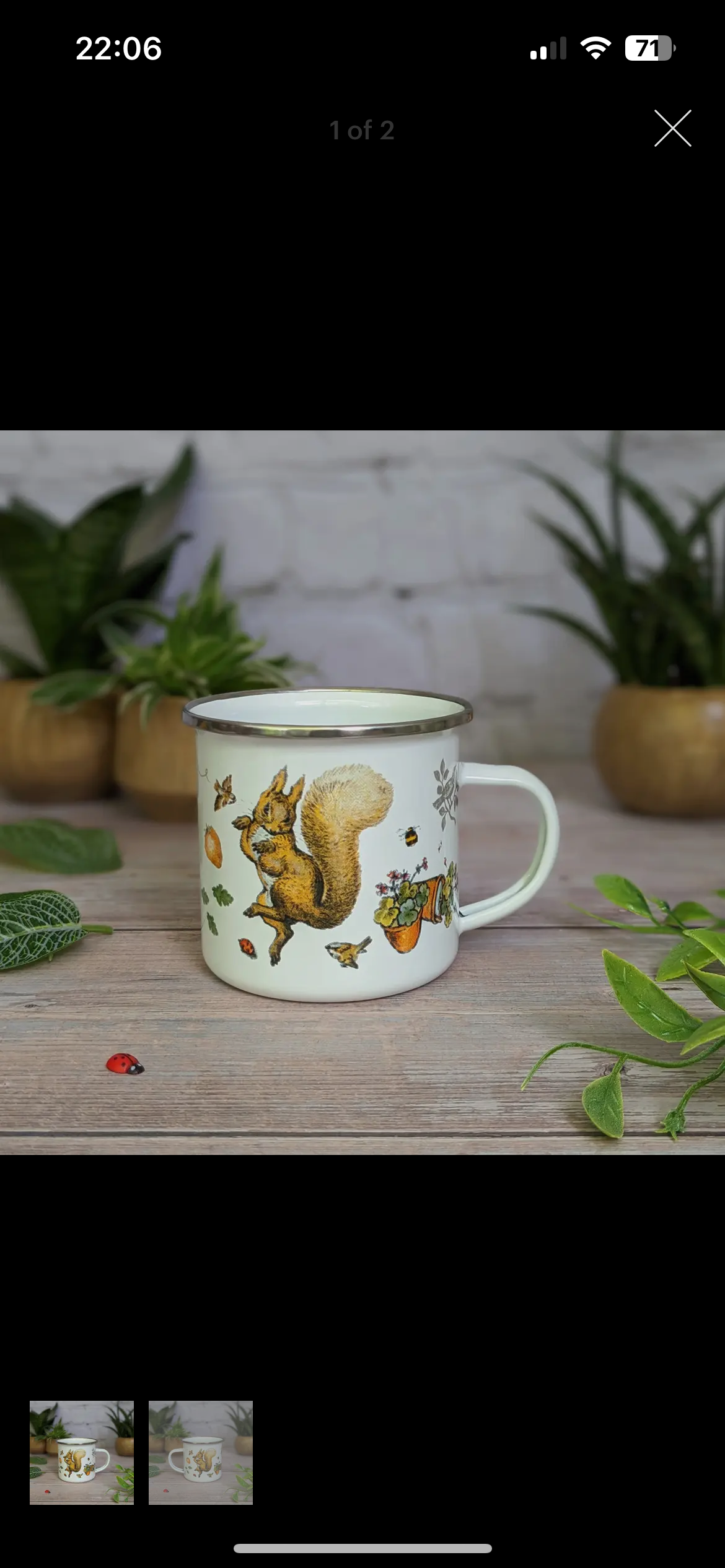 Beatrix Potter's Squirrel Nutkin Enamel Mug