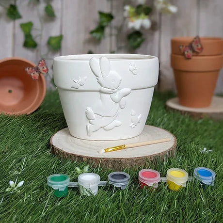 Peter Rabbit - Paint Your Own Plant Pot