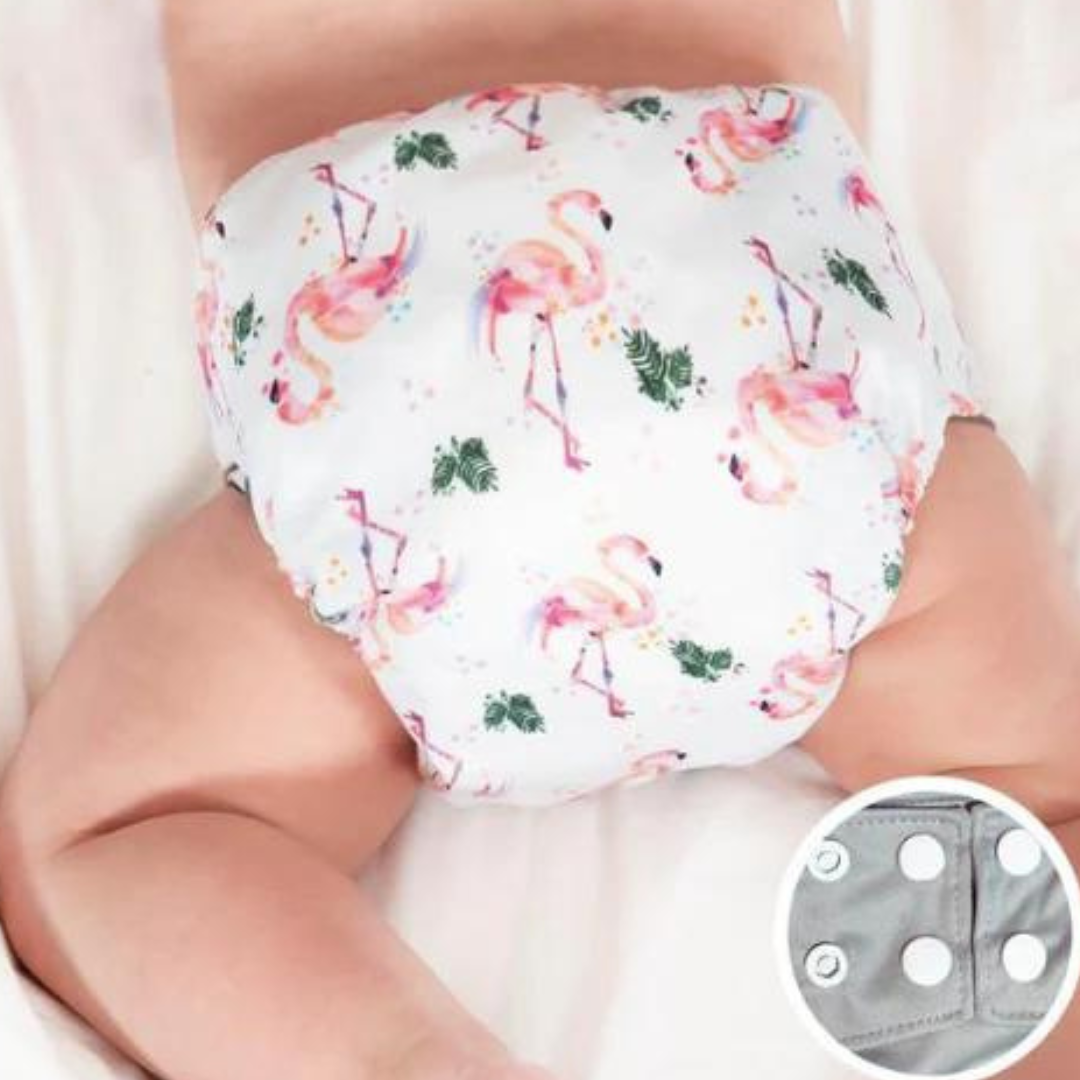 La Petite Ourse - One Size All In One Nappy