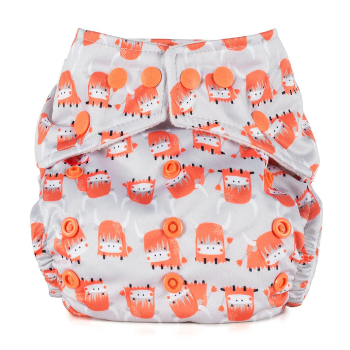 Baba & Boo Pocket Nappy - BTP